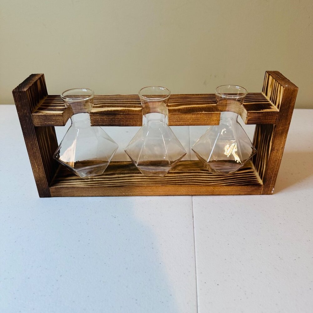 Air Plant Terrarium With 3 Glass Vases and Stand Air Plant Hydroponics Set - Picture 1 of 7